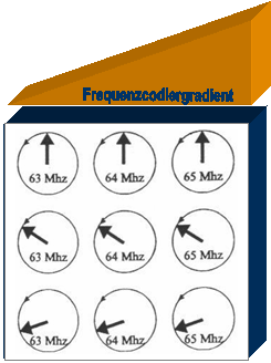 Frequenzcodiergradient